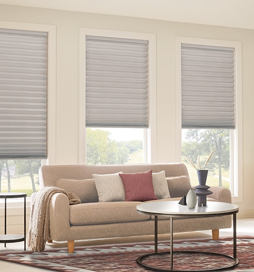 Star Blinds Cordless Pleated Shades
