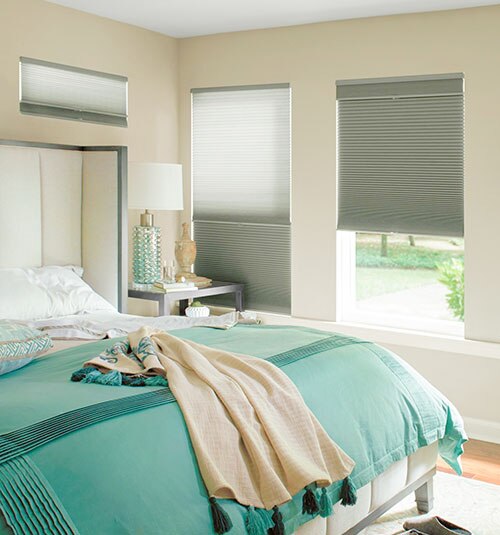 Levolor Day/Night Cellular Shades